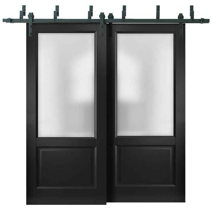 SARTODOORS Lucia Frosted Glass Sliding Closet Black Doors Wayfair